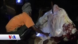 Qubanaha Maanta, Nov. 09, 2019