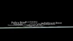 အမေရိကန် အစိုးရ နိုင်ငံရေးမူ 