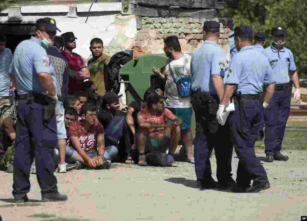 Croatian police detain a group of migrants in Tovarnik after they crossed from neighboring Serbia.
