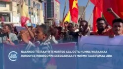 Naannoo Tigiraayitti Murtoo Ajajjoota Humna Waraanaa Hordofee Hiriiroonni Deeggarsaa Fi Mormii Taasifamaa Jiru 