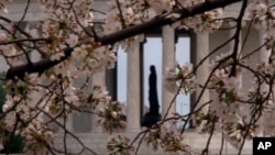 The Thomas Jefferson statue in the Jefferson Memorial on the Tidal Basin in Washington.