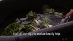 Organic Farming