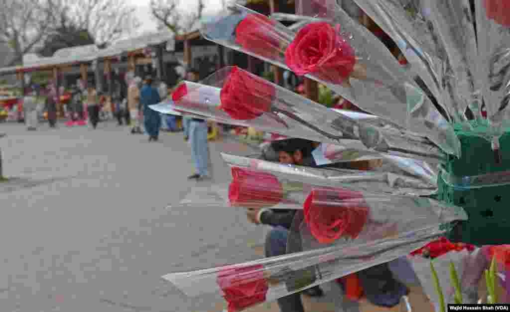 حالیہ برسوں میں ویلنٹائن ڈے پاکستان میں بھی تیزی سے مقبول ہوا ہے۔