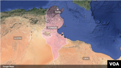 突尼斯海岸外发现29具移民尸体