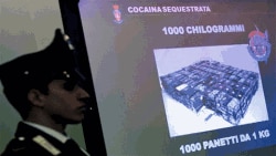 Policia italiane kap 1 ton kokainë në një port jugor të vendit