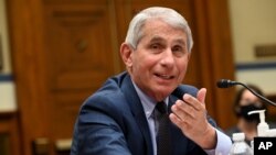 El Dr. Anthony Fauci, director del Instituto Nacional de Alergias y Enfermedades Infecciosas, testifica ante una audiencia del Subcomité Selecto de la Cámara sobre el Coronavirus, el viernes 31 de julio de 2020.