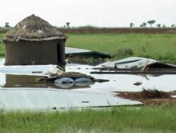 Effects of floods in Kaikai village, northern Cameroon (M. Edwin Kindzeka/VOA)