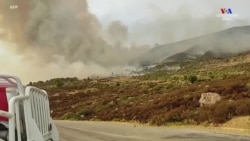 Հյուսիսային Մարոկկոյի հրշեջները երկրորդ օրն է պայքարում են անտառային հրդեհների դեմ