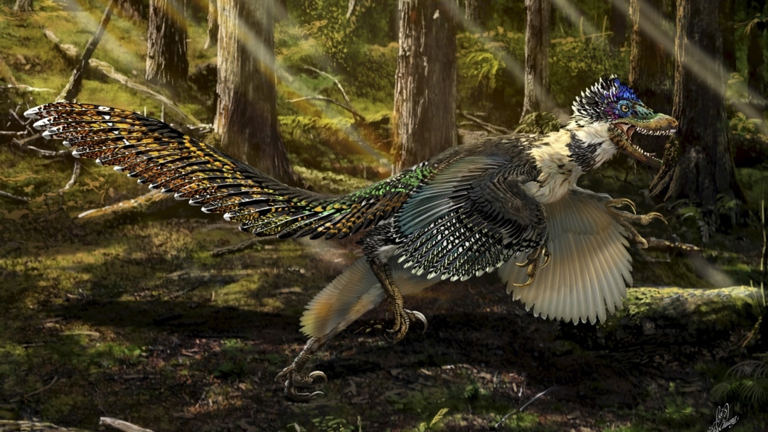 Ancient Winged Terror Was One of the Largest Animals to Fly