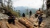 缅甸法院对中国伐木工判处重刑