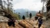 Beijing Calls for Myanmar to Free Chinese Convicted of Illegal Logging