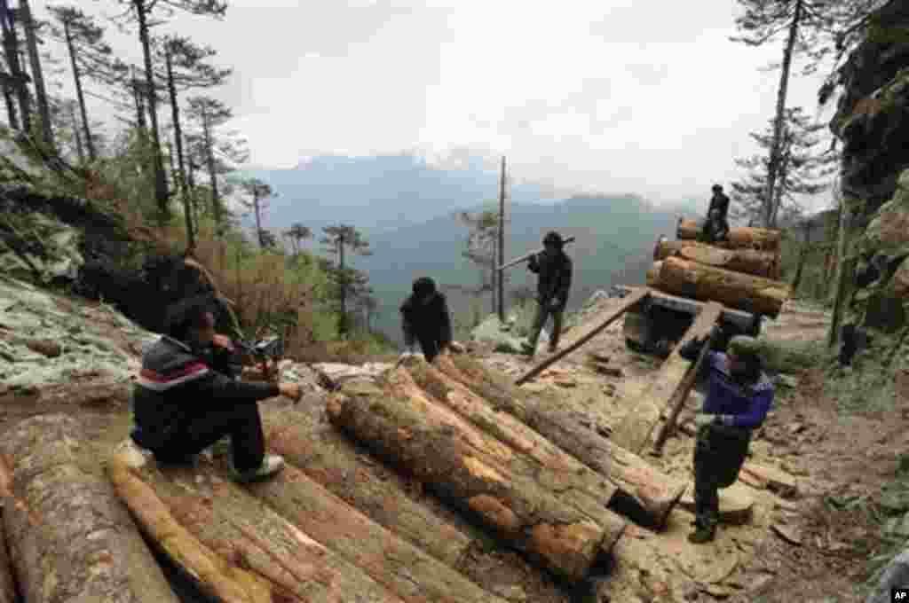 China Myanmar Logging