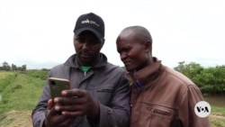 AI app helps Kenyan farmers optimize crop yields 