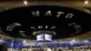 Nga sẽ tham dự hội nghị thượng đỉnh NATO