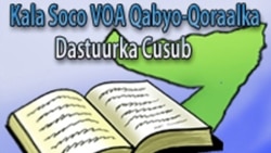 Graphic from VOA Somali Service website highlighting new program about the country's proposed constitution.