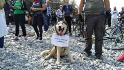 Arhiva - Jedan od protesta protiv izgradnje malih hidroelektrana na Balkanu, skup kraj rijeke Cijevina u Crnoj Gori.