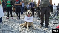 Protest zbog planirane izgradnje male hidroelektrane na rijeci Cijevni.