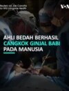 Ahli Bedah Berhasil Cangkok Ginjal Babi Pada Manusia