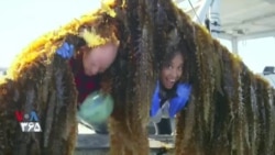 طبیعت بهتر می‌داند – تولید غذا