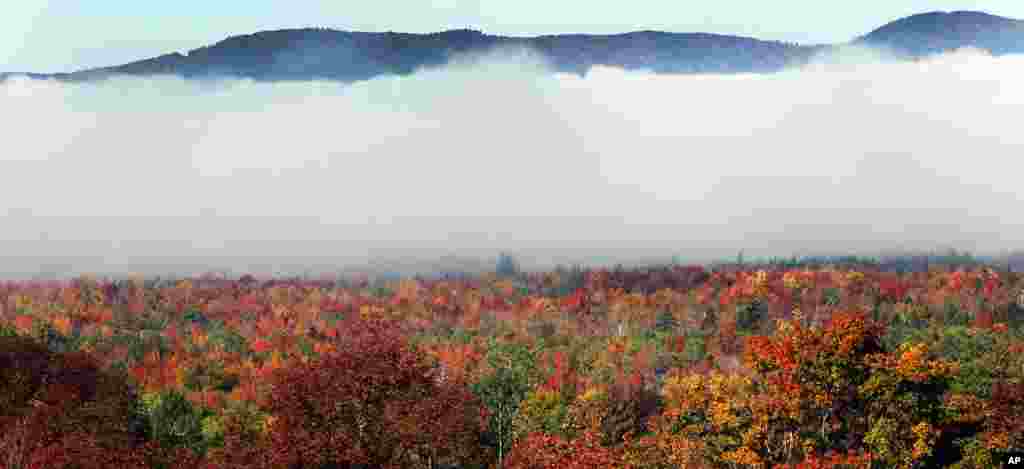 Fog rolls across a field as the leaves begin to change color at Crawford Notch in Carroll, New Hampshire.