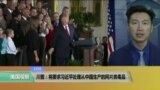 VOA连线：川普：将要求习近平处理从中国生产的阿片类毒品