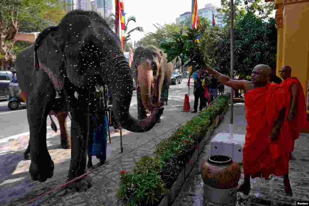 A Buddhist monk sprinkles pure water on an elephant as part of blessings at the Gangaramaya Buddhist temple in Colombo, Sri Lanka.