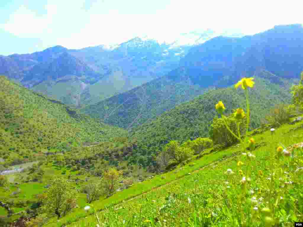 کردستان کوه شاهو روستای دلمرز عکس: آرین شریف زاده (ارسالی شما) 