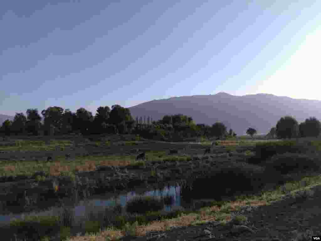 نمایی از شهر گندمان بروجن در استان چهارمحال و بختیاری عکس: ابراهیم اکبری گندمانی(ارسالی از شما)