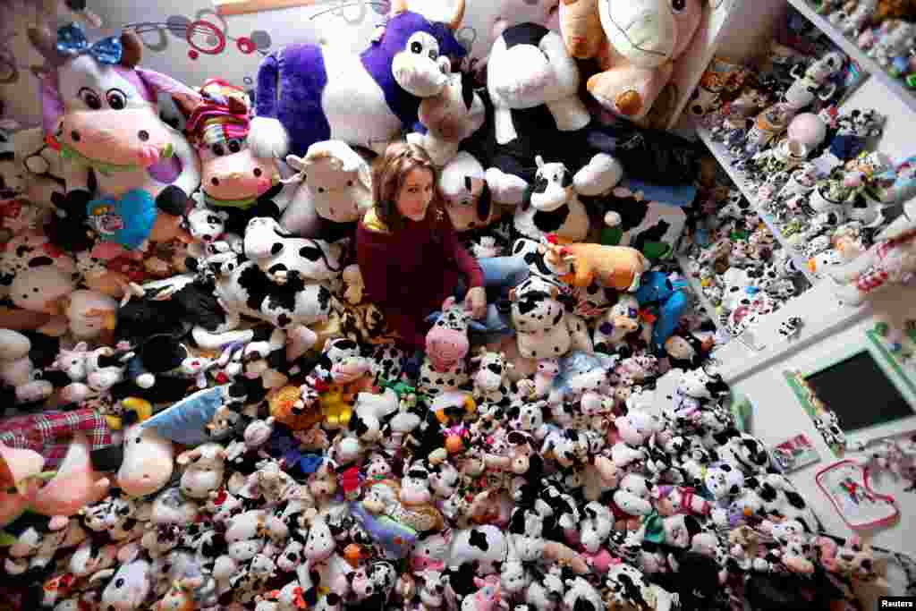 French Model Emeline Duhautoy poses with her collection of 1,679 stuffed toy cows she has been collecting for over seven years at her home in Saint-Omer, northern France, March 12, 2017.