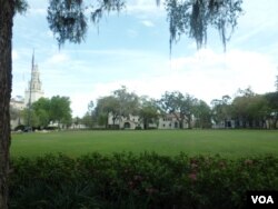 Relaxing greenery and the beautiful campus buildings