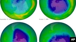 This undated image provided by NASA shows the ozone layer over the years, Sept. 17, 1979, top left, Oct. 7, 1989, top right, Oct. 9, 2006, lower left, and Oct. 1, 2010, lower right. 