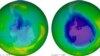 Earth's Ozone Layer Shows Signs of Recovery
