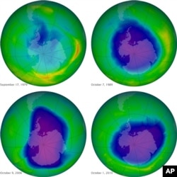 This undated image provided by NASA shows the ozone layer over the years, Sept. 17, 1979, top left, Oct. 7, 1989, top right, Oct. 9, 2006, lower left, and Oct. 1, 2010, lower right.