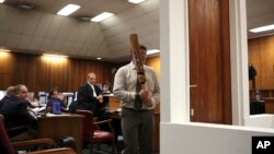 Forensic investigator Johannes Vermeulen, with a cricket bat in hand, demonstrates on a mock-up toilet and door details of how the door could have been broken down, during the trial of Oscar Pistorius in Pretoria, South Africa, March 12, 2014. 