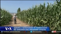 Shkodër, Qendra e Transferimit të Teknologjive