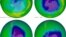 This undated image provided by NASA shows the ozone layer over the years, Sept. 17, 1979, top left, Oct. 7, 1989, top right, Oct. 9, 2006, lower left, and Oct. 1, 2010, lower right. 