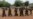 Boko Haram Chief Says Nigerian Offensive Failing
