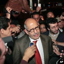 Mohamed ElBaradei (file photo)