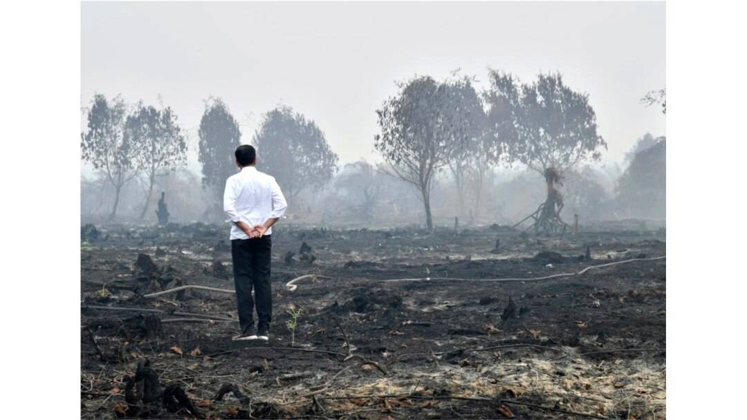 Presiden Joko Widodo meninjau lahan yang terbakar di Pelalawan, Riau, 17 September 2019. (Foto: Biro Setpres via AFP)
