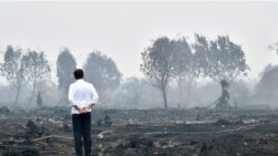 Presiden Joko Widodo meninjau kawasan hutan yang terbakar di Pelalawan, Riau, 17 September 2019. (Foto: Biro Setpres via AFP)