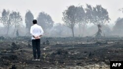 Presiden Joko Widodo meninjau lahan yang terbakar di Pelalawan, Riau, 17 September 2019. (Foto: Biro Setpres via AFP)