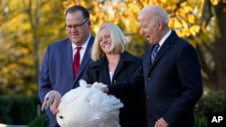 President Joe Biden pardons Peanut Butter, the national Thanksgiving turkey, during a ceremony in the Rose Garden, Nov. 19, 2021. Biden is joined by, from left, Phil Seger, Chairman of the National Turkey Federation, and Andrea Welp, a turkey grower from Indiana.