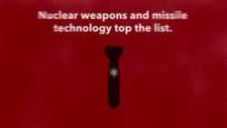 Explainer: North Korea Military