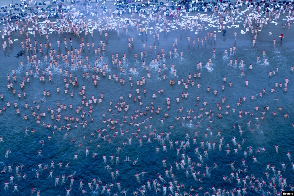 호주 호바트의 열린 '다크 모포 누드 수영 축제 (Dark Mofo Nude Solstice Swim)'에서 참가자들이 더웬트강을 가로지르며 수영을 하고 있다.