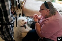 Eileen Nagle, 79, talks with Zeus, a bichon frise, as he visits her room at The Hebrew Home at Riverdale in New York, Wednesday, Dec. 9, 2020. (AP Photo/Seth Wenig)