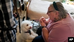Eileen Nagle (79), berbicara dengan Zeus, seekor anjing jenis bichon frise yang mengunjunginya di panti wreda The Hebrew Home di Riverdale, New York, 9 Desember 2020. (AP/Seth Wenig)