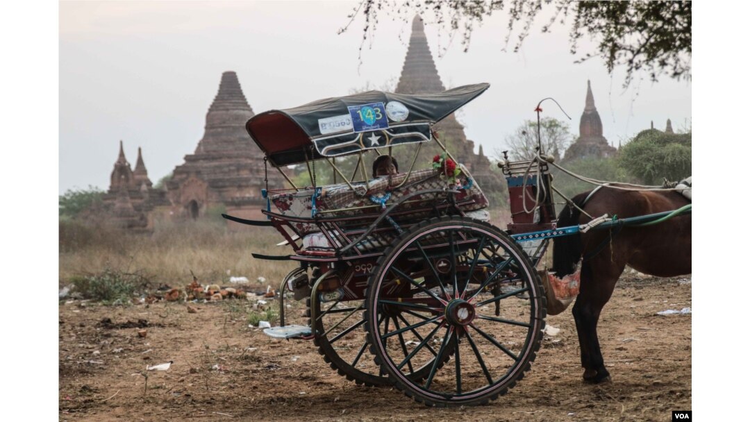 A driver of a horse-drawn cart - a popular way of seeing Bagan - waits for tourists to return from a nearby temple. (Photo: John Owens for VOA)