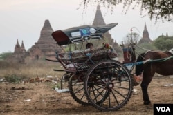 A driver of a horse-drawn cart - a popular way of seeing Bagan - waits for tourists to return from a nearby temple. (Photo: John Owens for VOA)