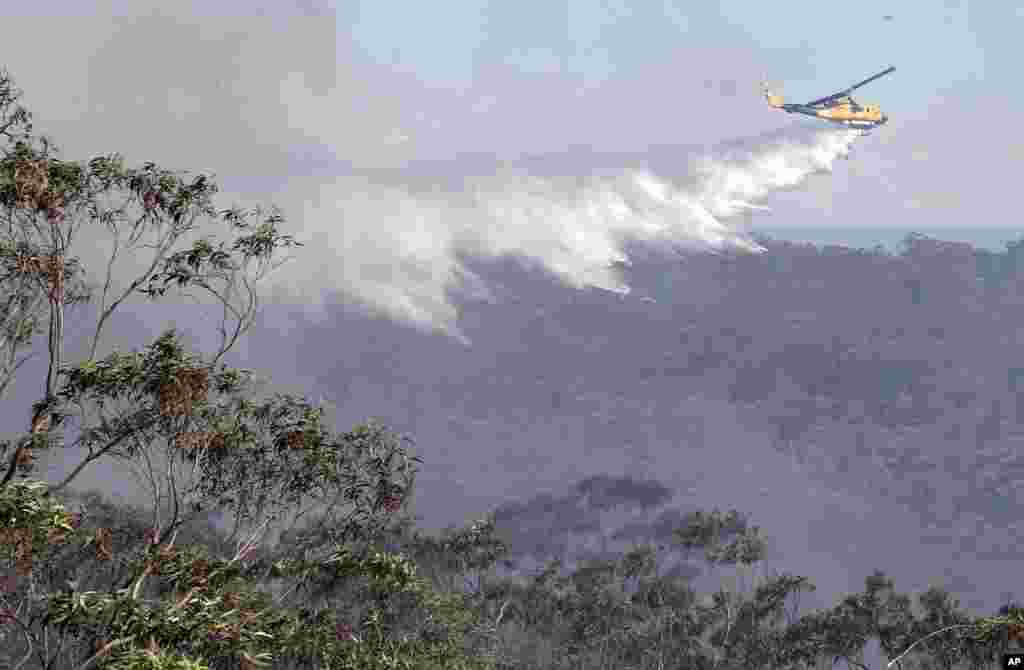 Sebuah helikopter menjatuhkan air di atas kebakaran hutan yang melanda Faulcombridge, 85 kilometer sebelah barat Sydney, Australia. 
