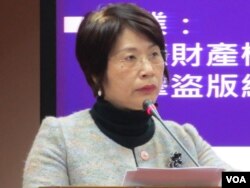 台湾执政党国民党立委陈碧涵 (美国之音张永泰)